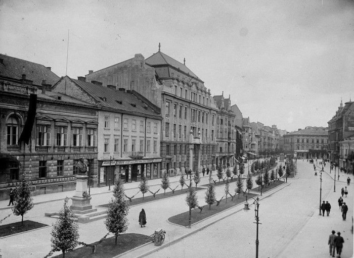 Алея проспекту Шевченка в міжвоєнний період. Фото 1922-1932 рр.