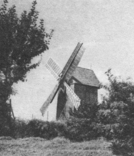 Вітряк у Шевченківському гаю. Фото 1974 року