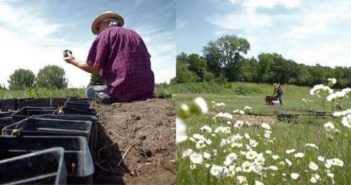 Пенсіонер кілька місяців скопував своє поле. Сусіди не розуміли, що він творить … А потім вони побачили це!