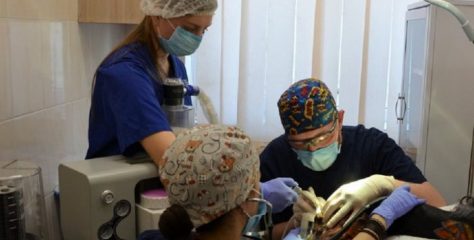 Які операції виконують у ветеринарній клініці ЛКП «Лев»