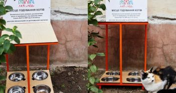 У Львові біля житлових будинків хочуть встановити “котівнички”: громадський проект