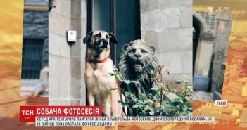 Жителька Львова влаштовує фотосесії, що рекламують безпритульних собак