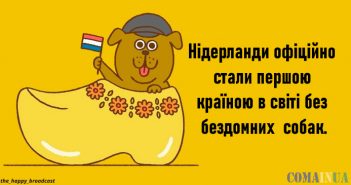 Я ситий по горло поганими новинами, тому зібрав 25+ найкращих хороших подій 2019-го