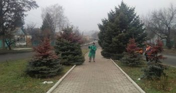 Ялинки у центральному парку Львова пофарбують у червоний колір