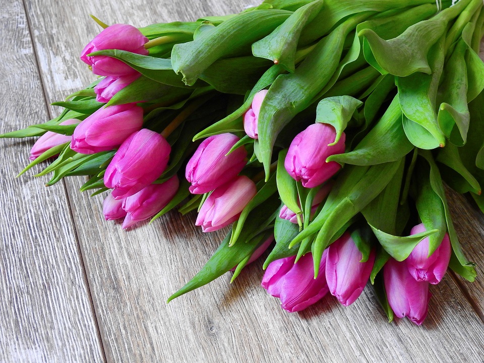 квіти 8 березня тюльпани