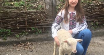 У Львові перехожі врятували ягня, яке везли на великодній шашлик (ФОТО)