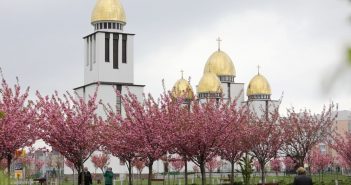 У Парку імені Івана-Павла ІІ (Сихів) пишно цвітуть сакури. Фото