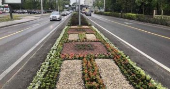 У Львові на проспекті Чорновола висадили 6 тис саджанців квітів. Фото