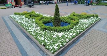 Біля пам’ятника Степану Бандері у Львові облаштували квіткові клумби. Фото