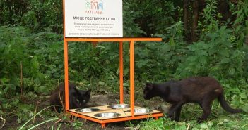 котівнички для безпритульних котів