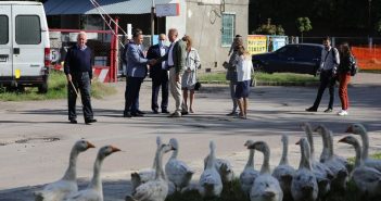 На Садового прийшли подивитися гуси (ФОТО)
