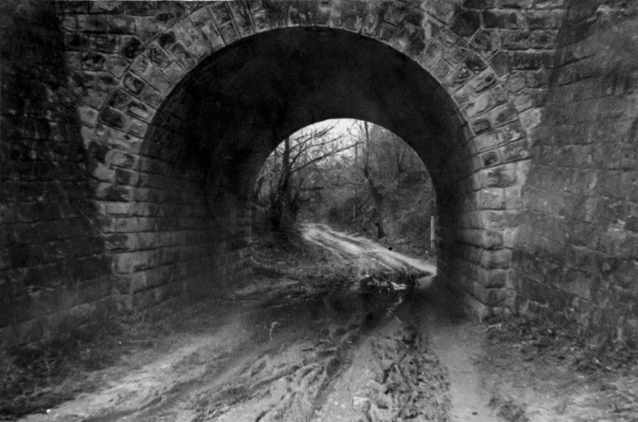 Кривчиці тунель