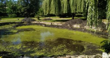 Боднарівка ставок екологія