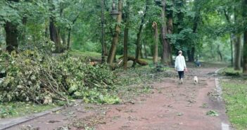 буревій Стрийський парк зламане повалене дерево