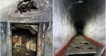 бункер лощина