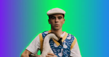 wellboy вельбой гуси