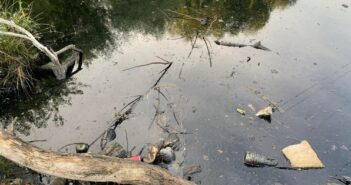 озеро Сихів забрудення екологія водойма токсичність поганий запах сморід