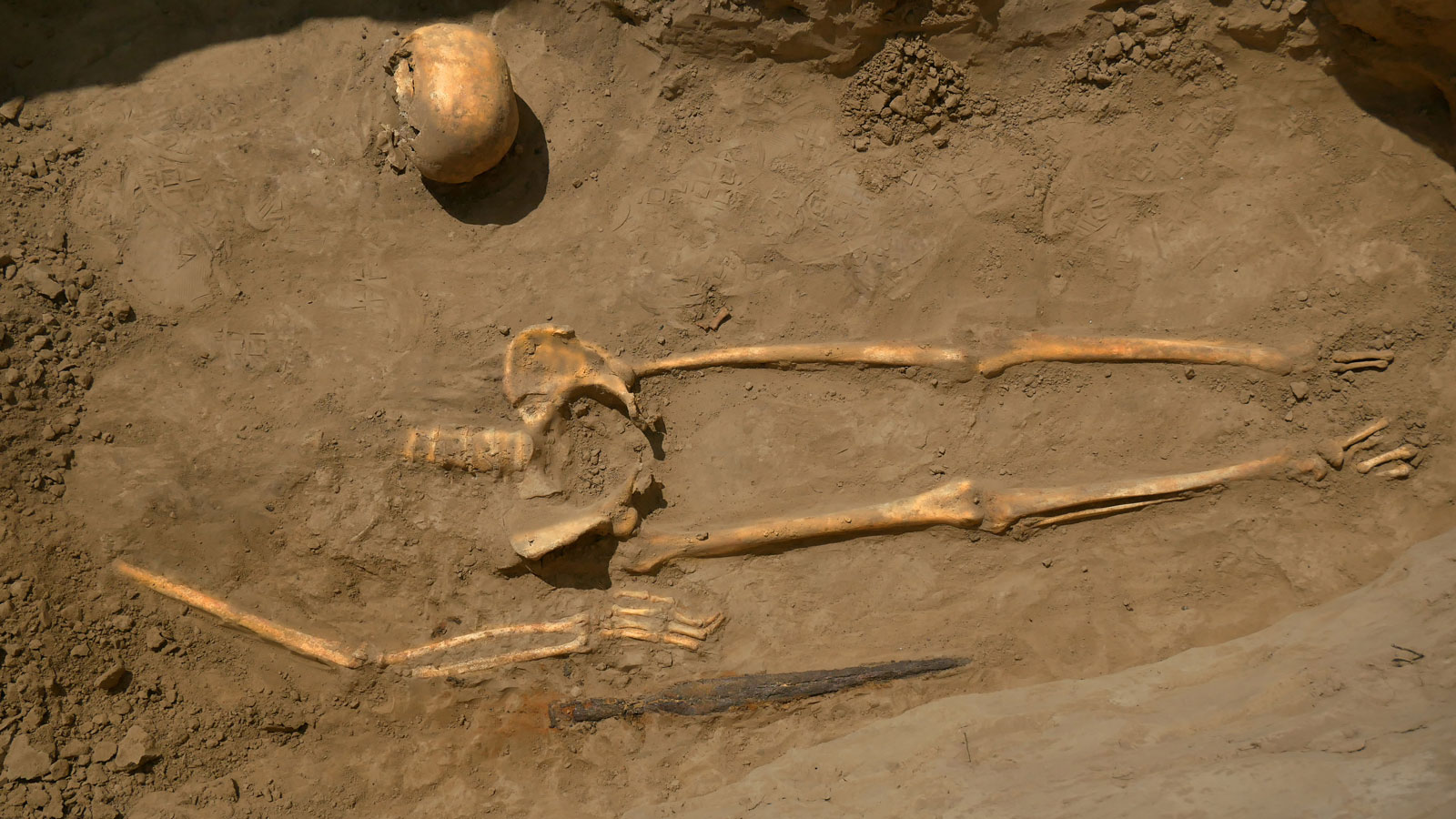 викопні рештки людини скелет кістки розкопки археологія палеонтологія
