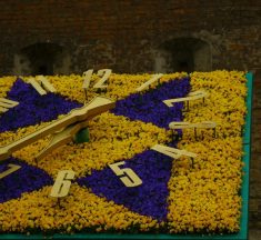 У Львові цієї весни очікують рекордне цвітіння: де і що можна побачити