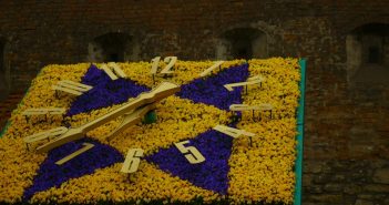 тюльпани Голландія Нідерланди квітковий годинник жовтий синій блакитний патріотизм прапор незалежність