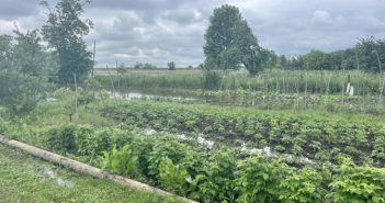 затоплення потоп негода прорив повінь паводок