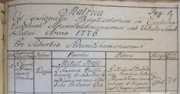 метрична книга родовід запис Галичина архів історія ретро