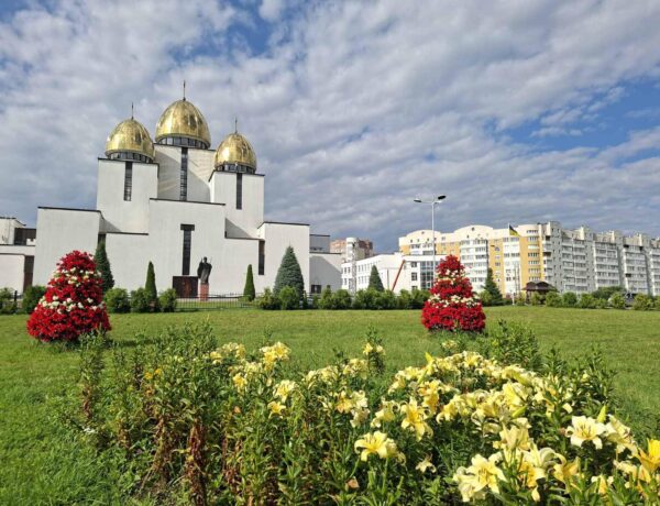 Львів цієї весни розквітне рекордно: 165 тисяч тюльпанів і тисячі дерев по всьому місту